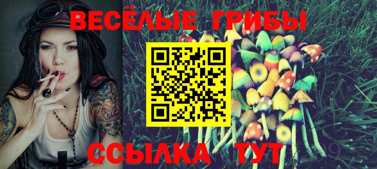 Псилоцибиновые грибы прущие грибы Дербент