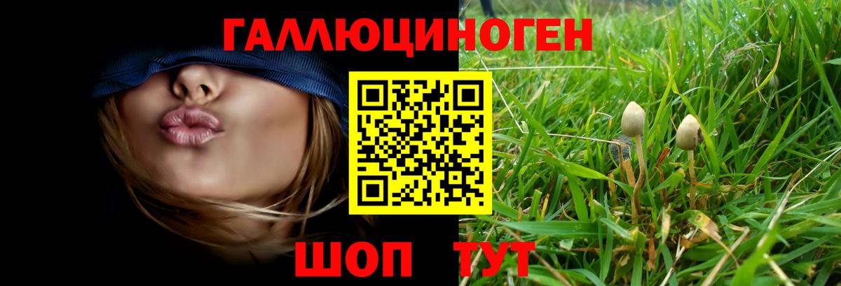 Галлюциногенные грибы прущие грибы  Псилоцибиновые грибы мицелий  Дербент  Вход с VPN 